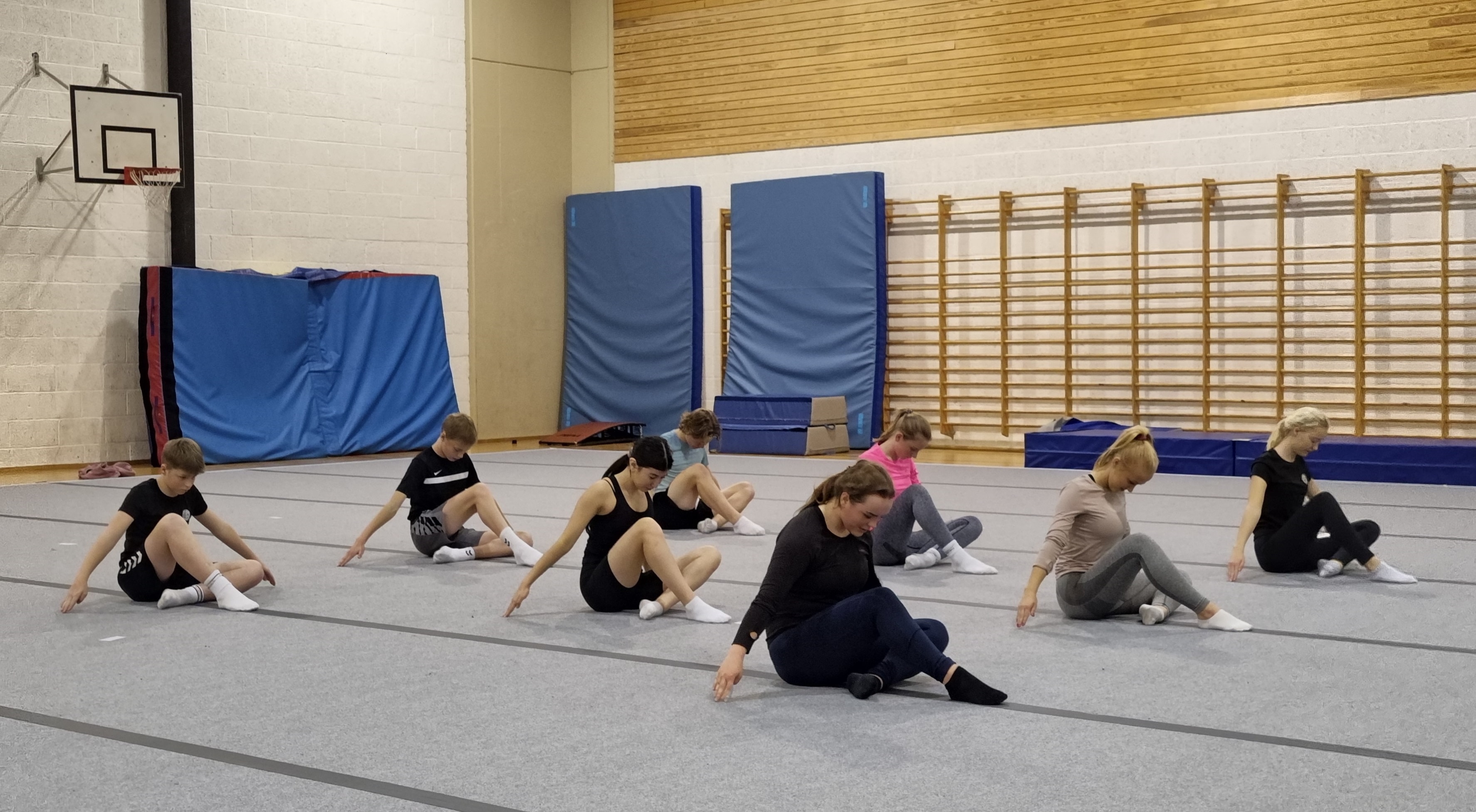 INNØVING AV FRITTSTÅENDEPROGRAM
